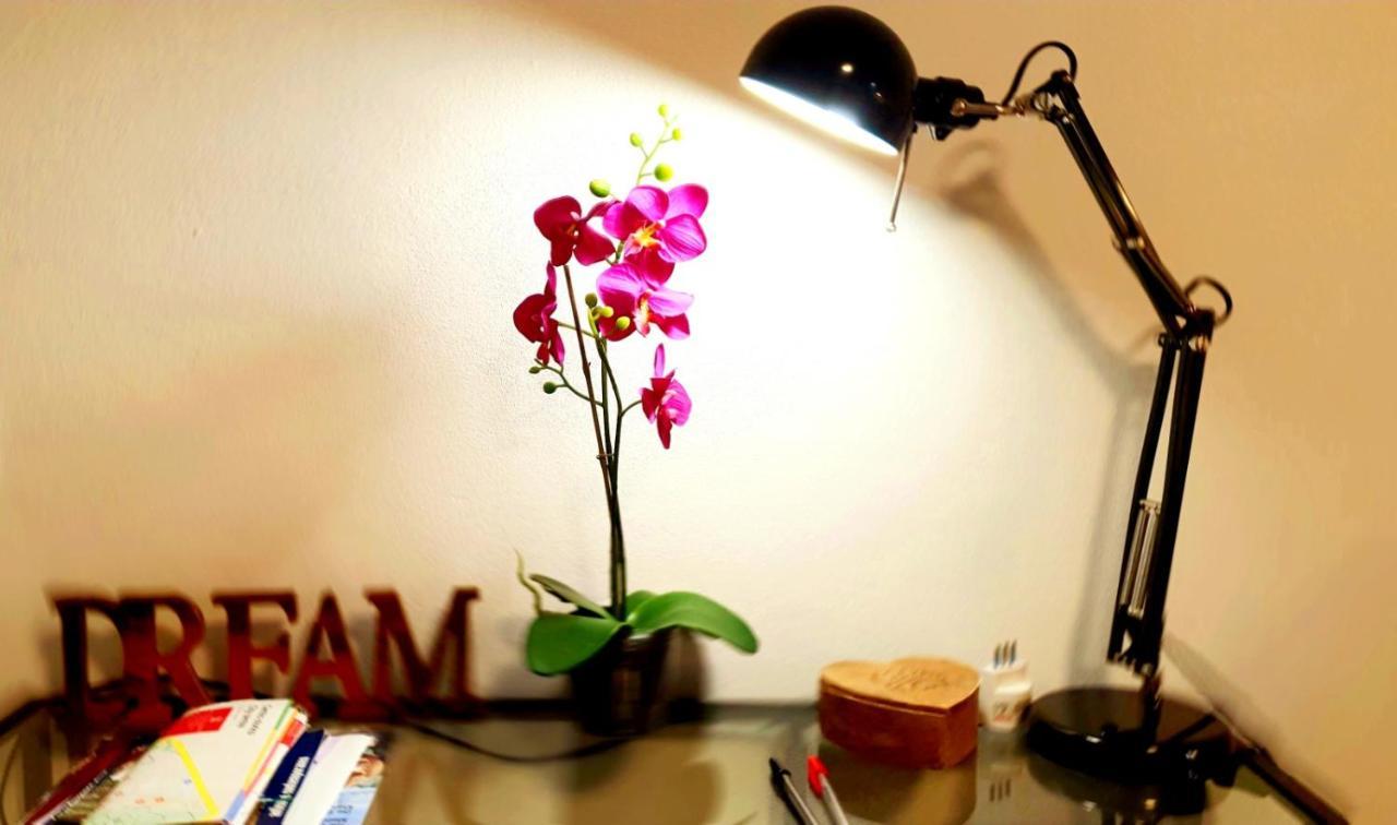 Guest House Montegrappa Reggio nell'Emilia Zewnętrze zdjęcie
